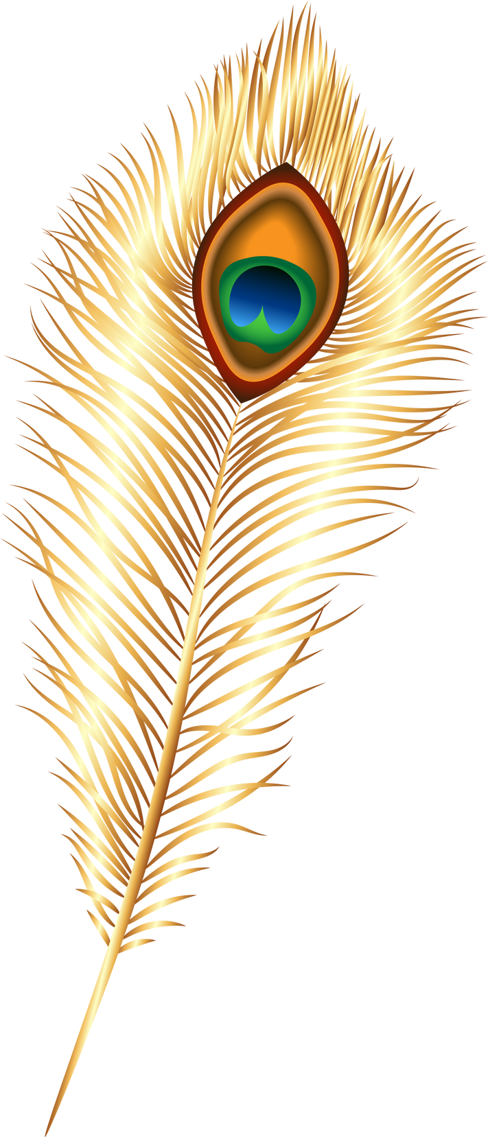 Golden peacock feather